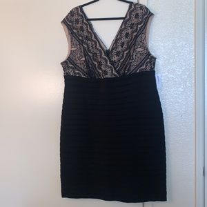 New Sheath Dress from Dress Barn